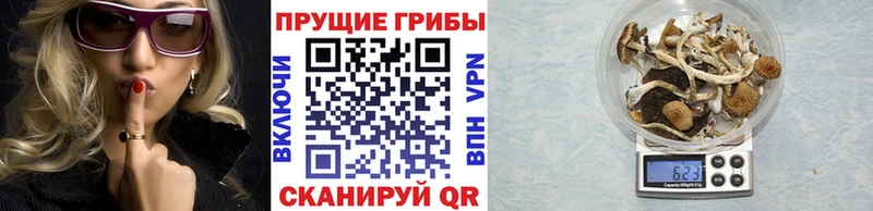 Галлюциногенные грибы MAGIC MUSHROOMS  Весьегонск 